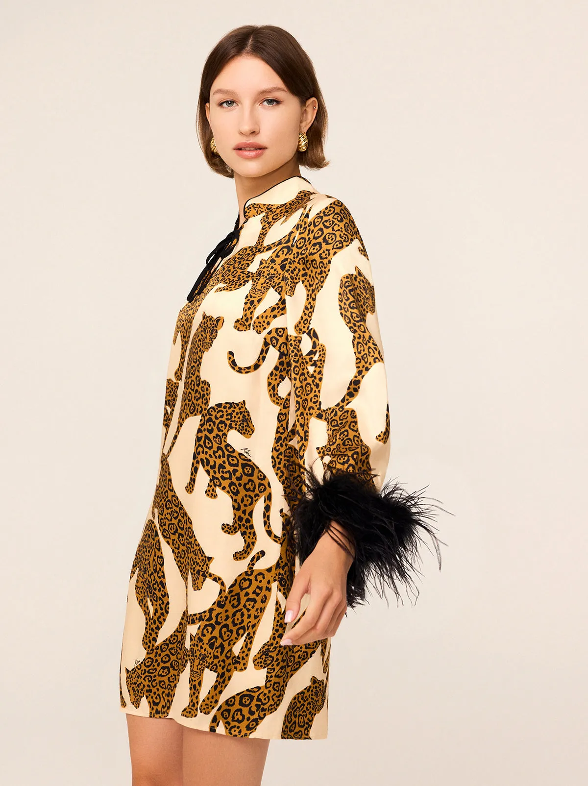 Carlotta Leopards Print Mini Dress