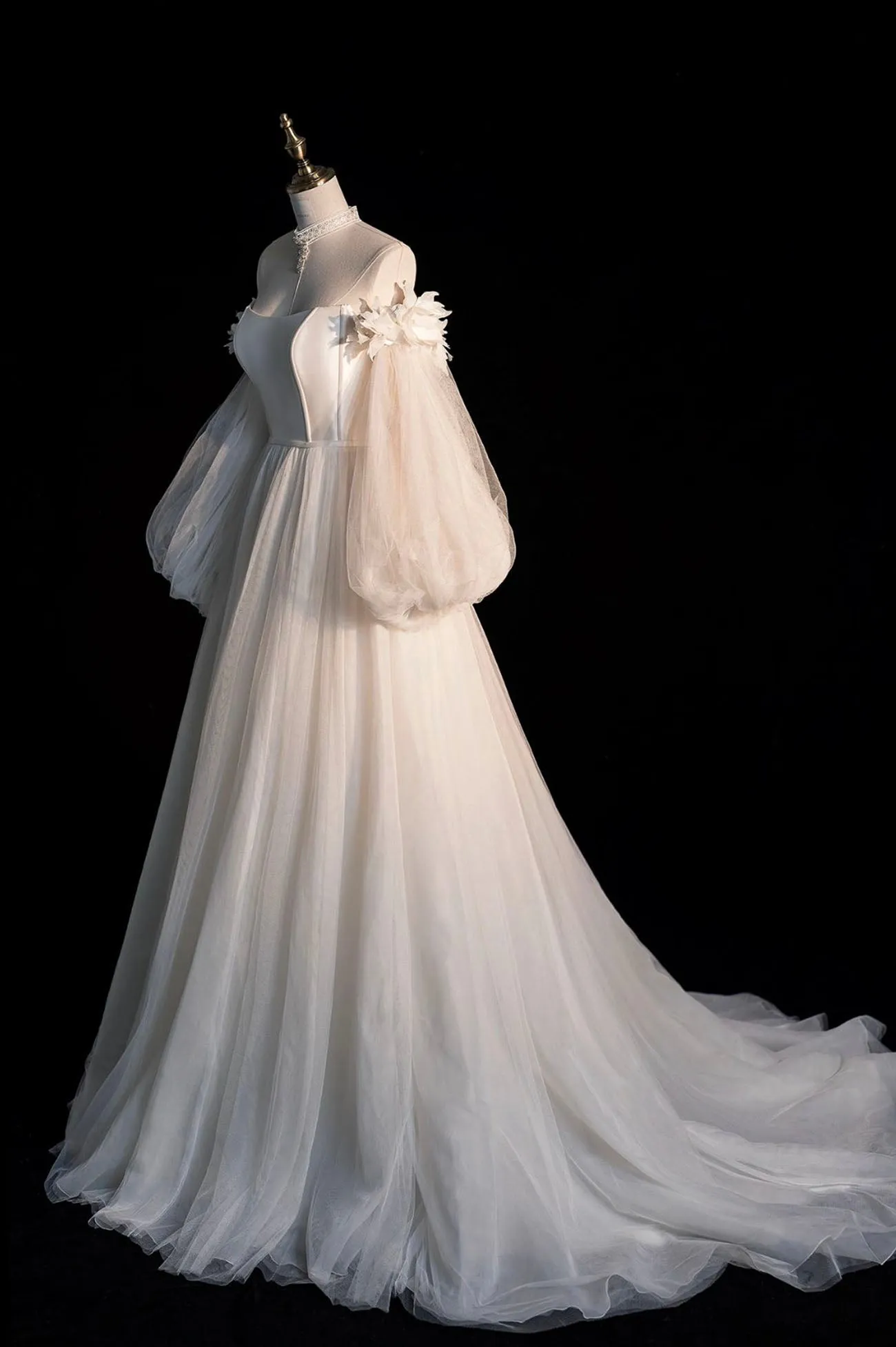 Champagne Tulle Long Sleeve Prom Dress Off the Shoulder Evening Dress