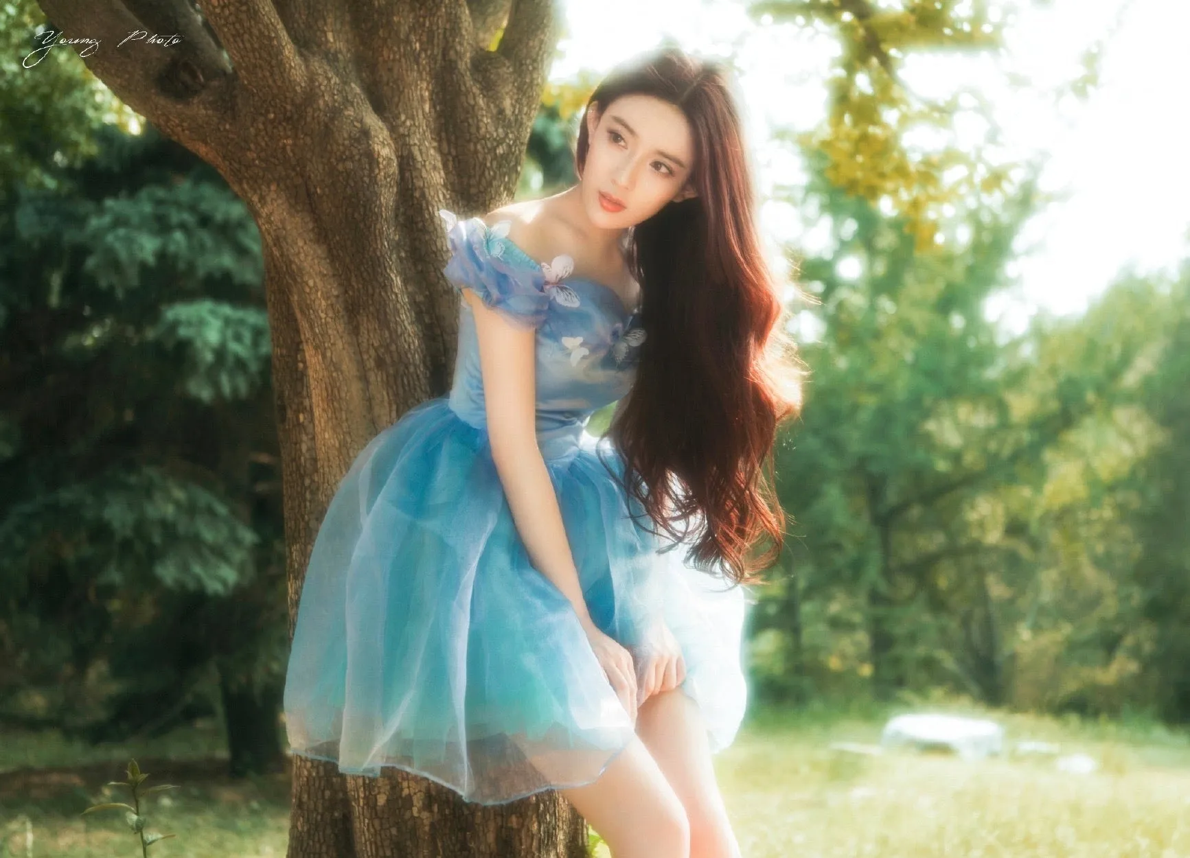 [Tailor Made] Princess Cinderella Dance Ball party dress