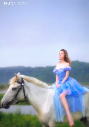 [Tailor Made] Princess Cinderella Dance Ball party dress