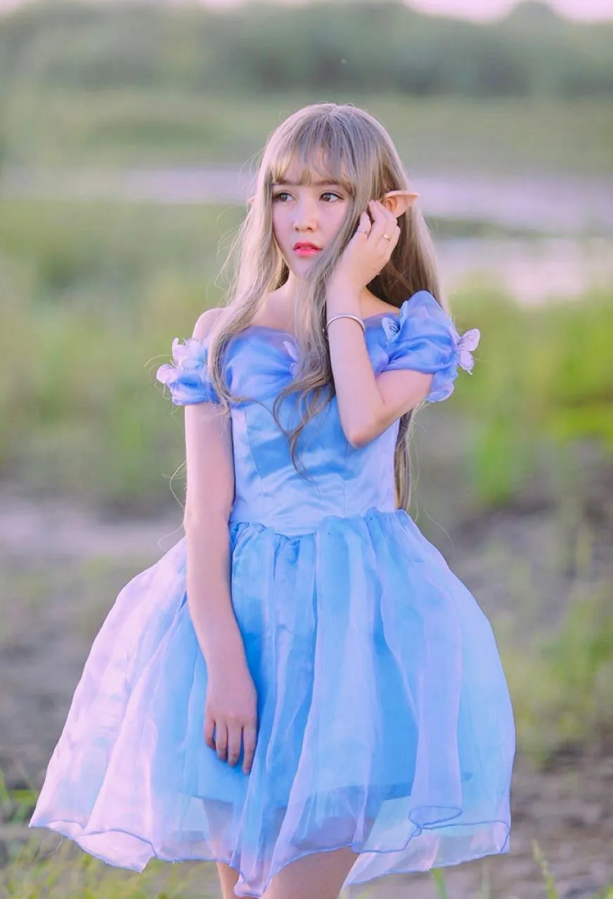 [Tailor Made] Princess Cinderella Dance Ball party dress