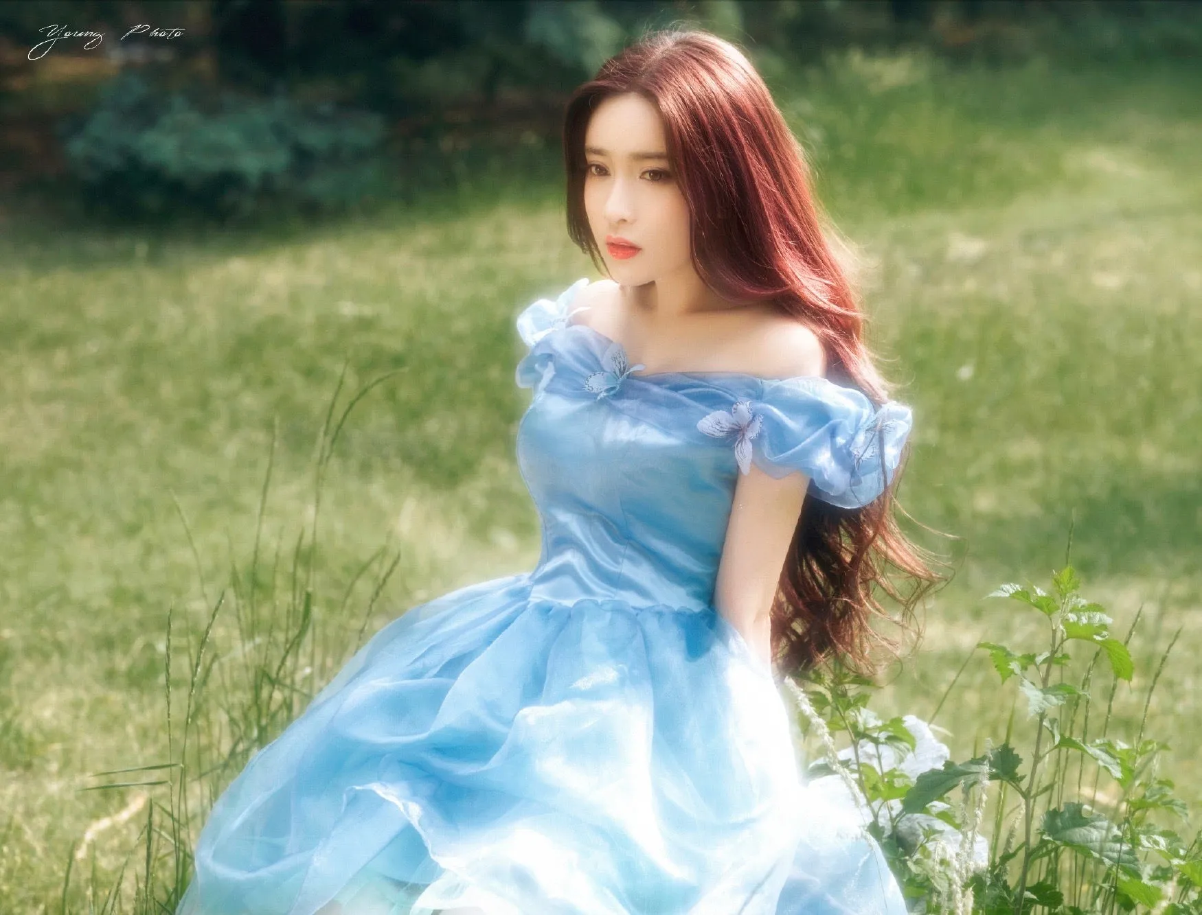 [Tailor Made] Princess Cinderella Dance Ball party dress